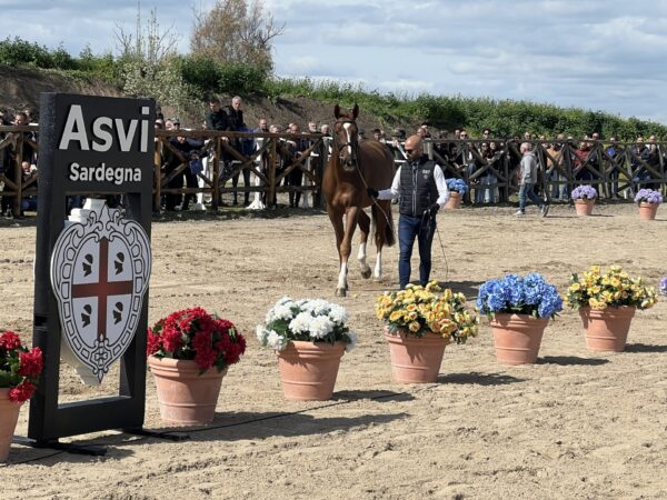 Centro di Riproduzione equina ASVI Sardegna