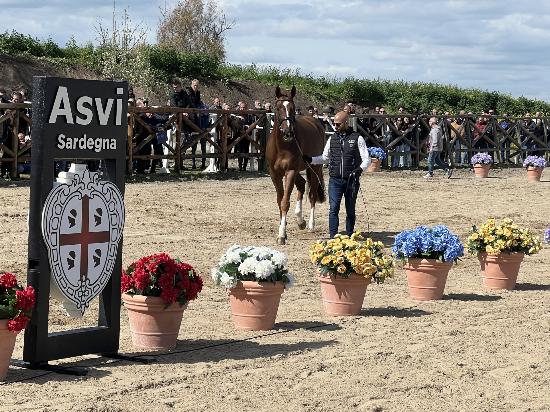 Centro di Riproduzione equina ASVI Sardegna