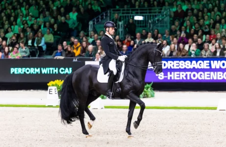 Justin Verboomen with Zonik Plus