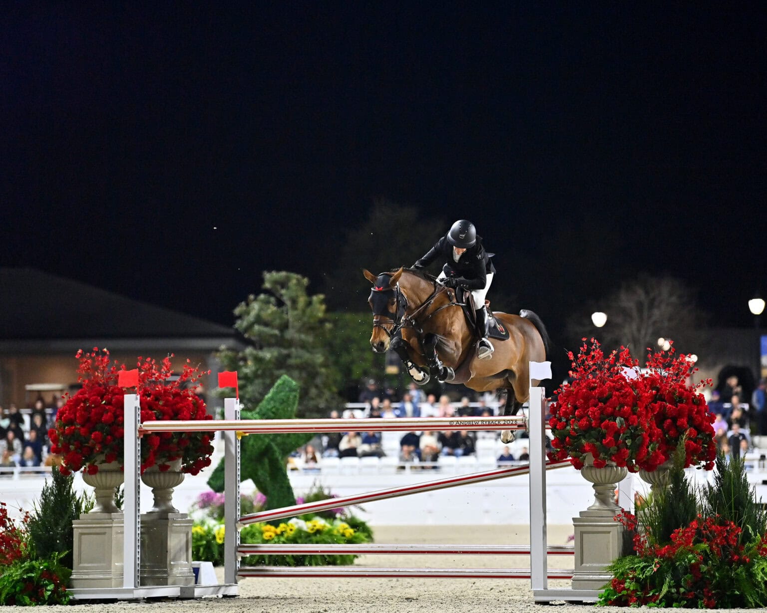Nicola Philippaerts conquista il Grand Prix CSI4* al World Equestrian Center di Ocala 4 Laura Kraut