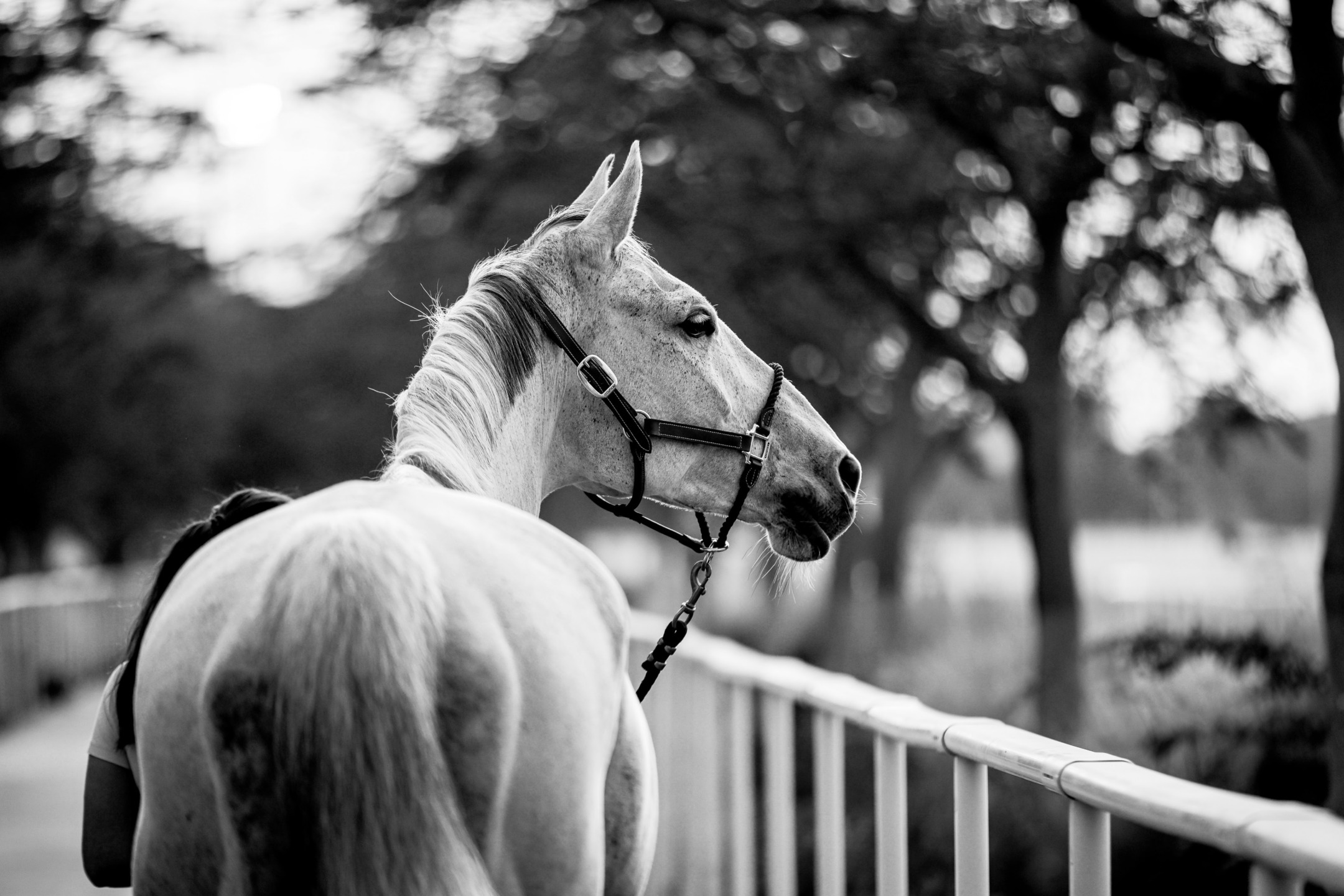 Longines Global Champions Tour