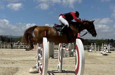 Salto ostacoli: a Tanca Regia prende il via la 10ª Edizione del Trofeo ASVI, riservato al cavallo italiano nato e allevato in Sardegna