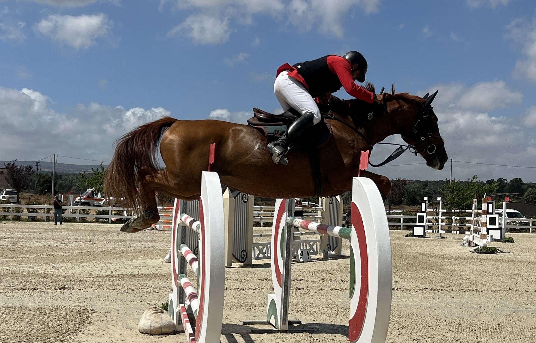 Salto ostacoli: a Tanca Regia prende il via la 10ª Edizione del Trofeo ASVI, riservato al cavallo italiano nato e allevato in Sardegna