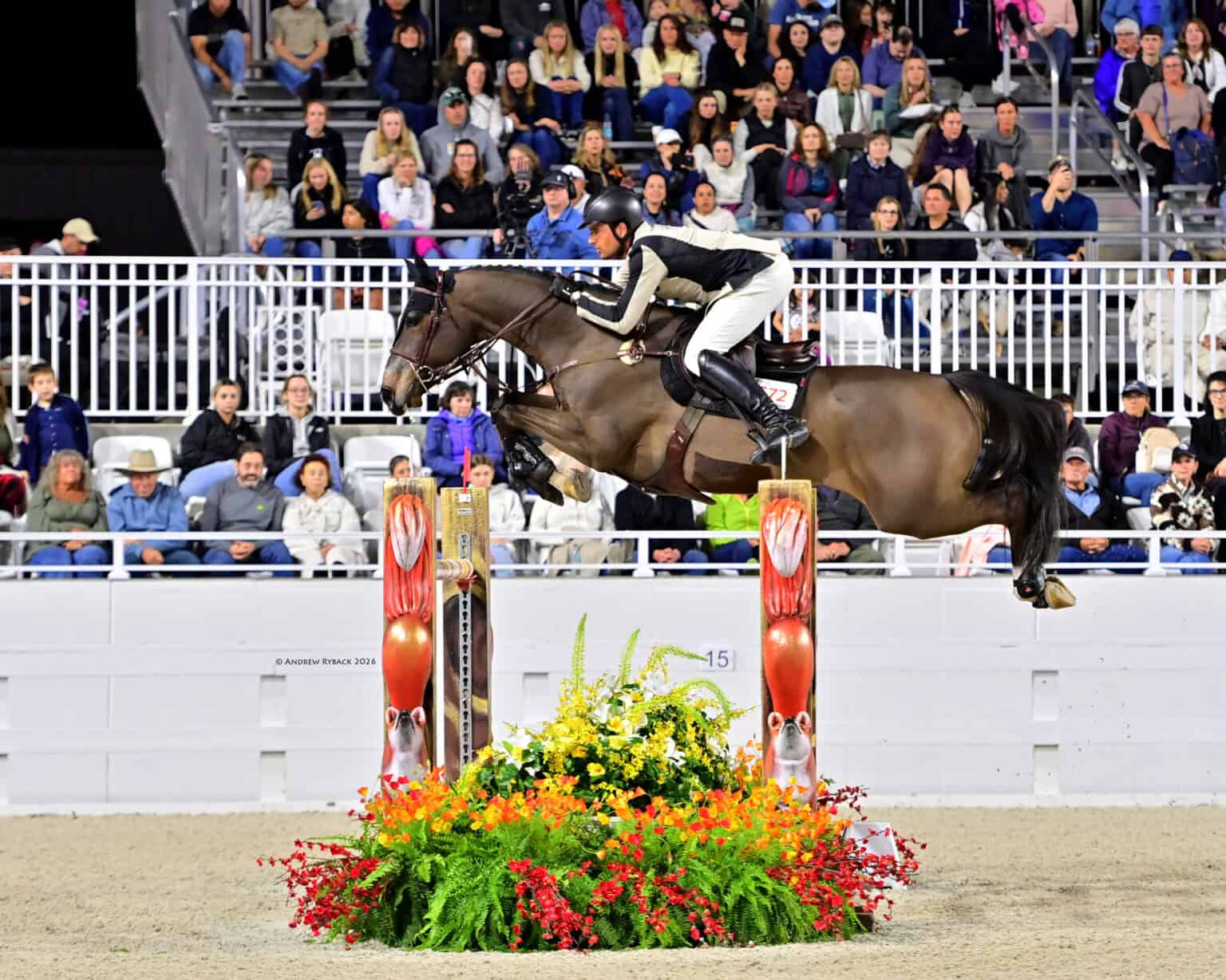 Nicola Philippaerts conquista il Grand Prix CSI4* al World Equestrian Center di Ocala 2 Nicola Philippaerts Gadget Mouche 2