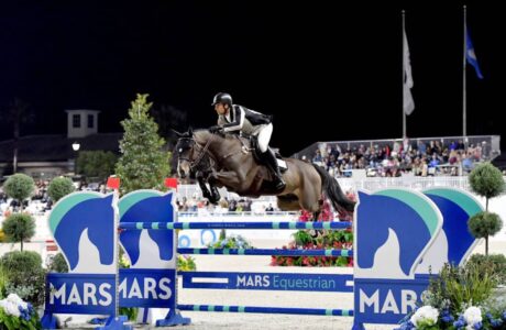 Nicola Philippaerts Gadget Mouche