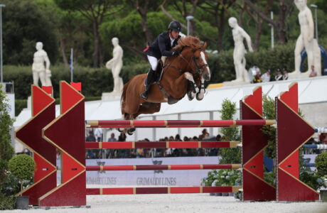 Harrie Smolders & Emerald