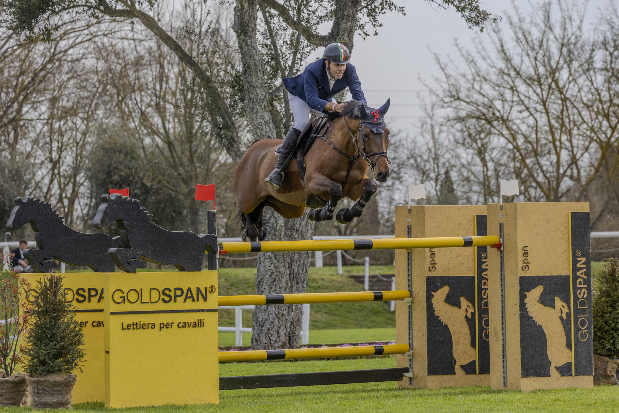 Roberto Turchetto su Heidelberg