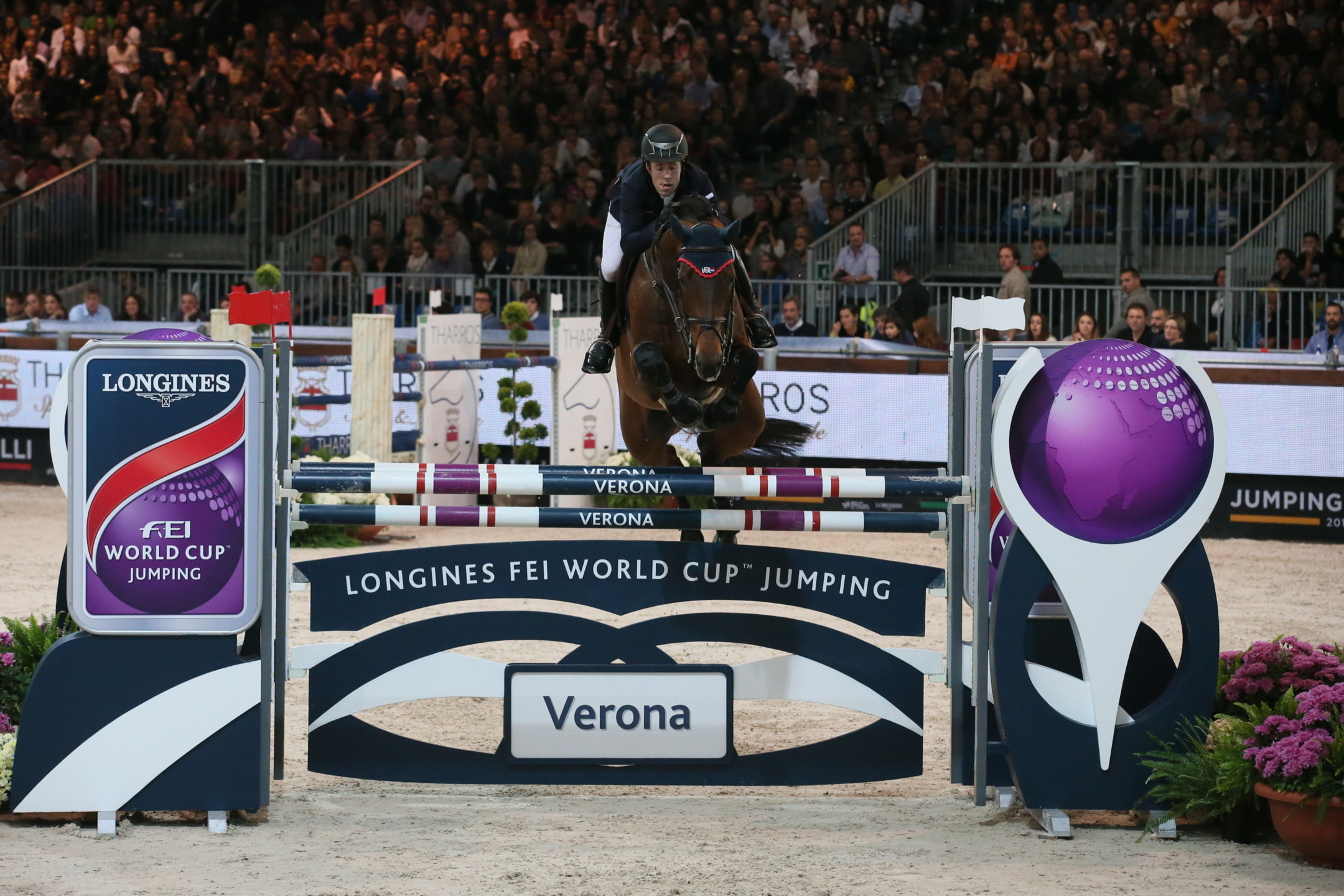 From Performance to Genetics: Why the Future of Breeding (Also) Depends on the Semen Bank 3 VanDerVLEUTEN Verdi Verona2015 SS7 9417 1