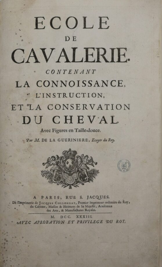 cavaliere 2