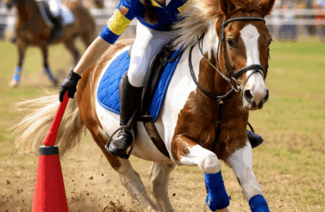 Una nuova era per il settore ludico, più gioco, multidisciplinarità e nuove opportunità.