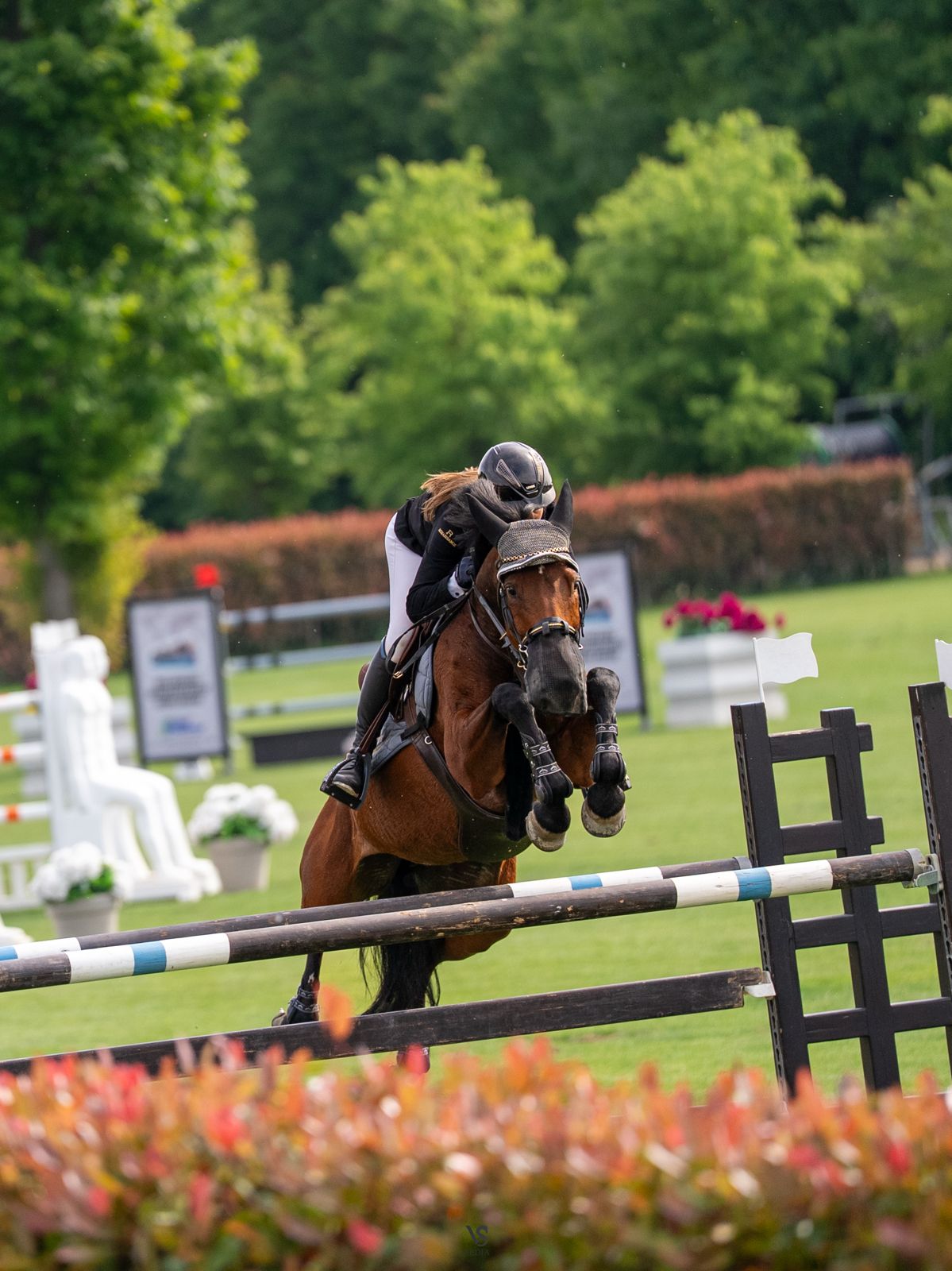 1da9bd52 d517 486f bdef 58120d8d83df