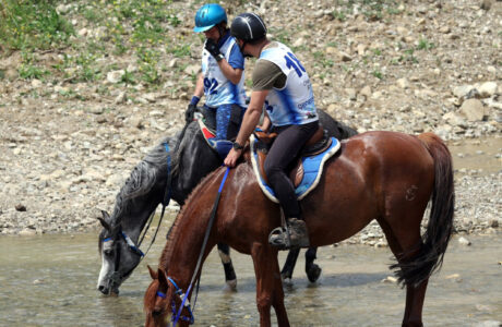Montalcino, Campionato Italiano Endurance 2026. Dal 6 al 10 maggio full immersion di cavalli in Val d'Orcia.