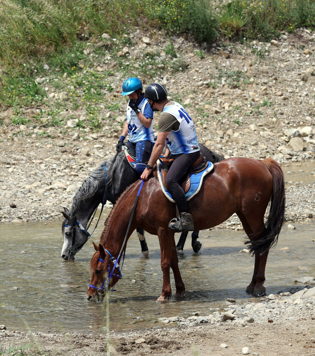 Montalcino, Campionato Italiano Endurance 2026. Dal 6 al 10 maggio full immersion di cavalli in Val d'Orcia.