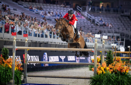 55197824524 fcd444c43e k