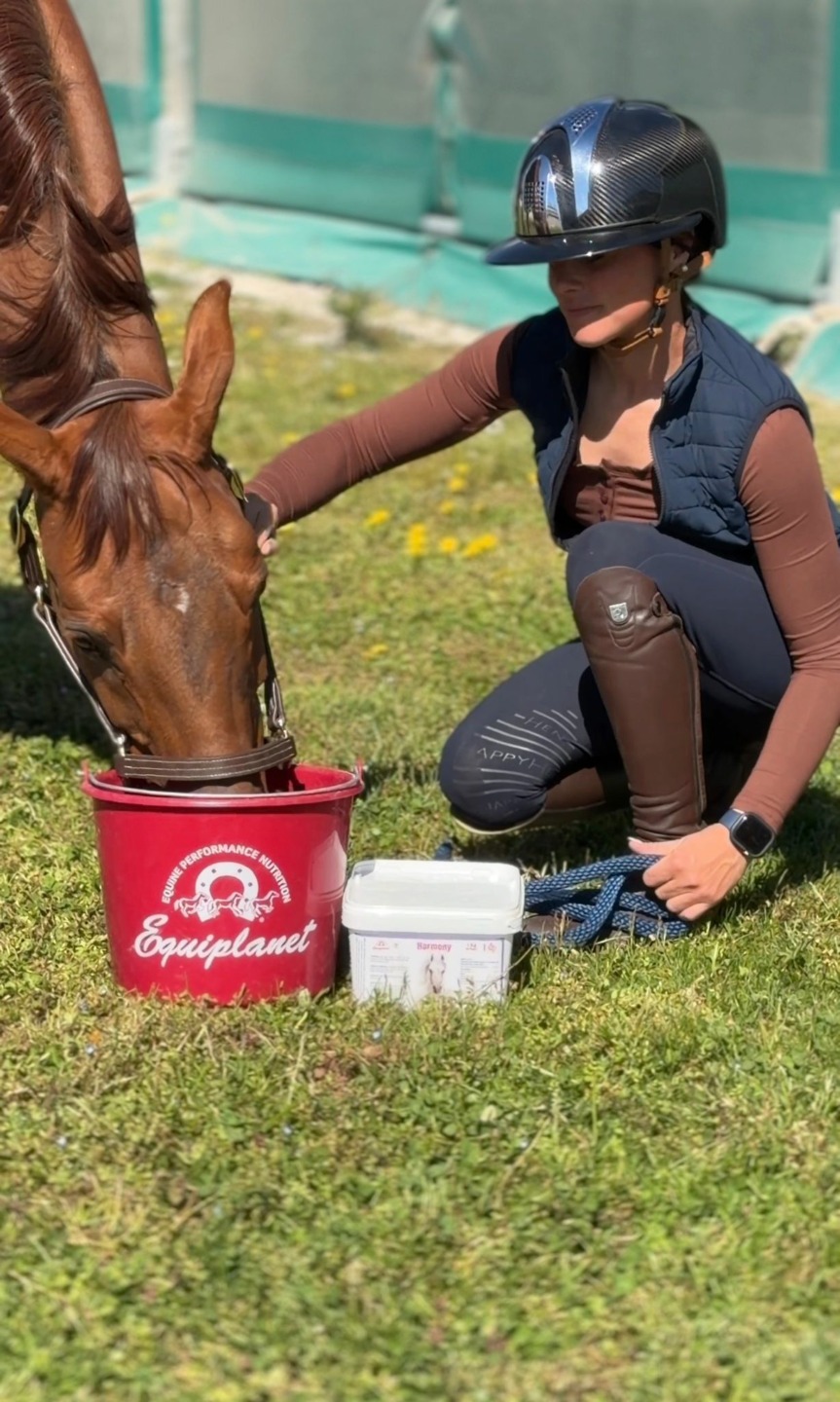 95ca5909 dbaf 4723 8936 26d1ed38ddae