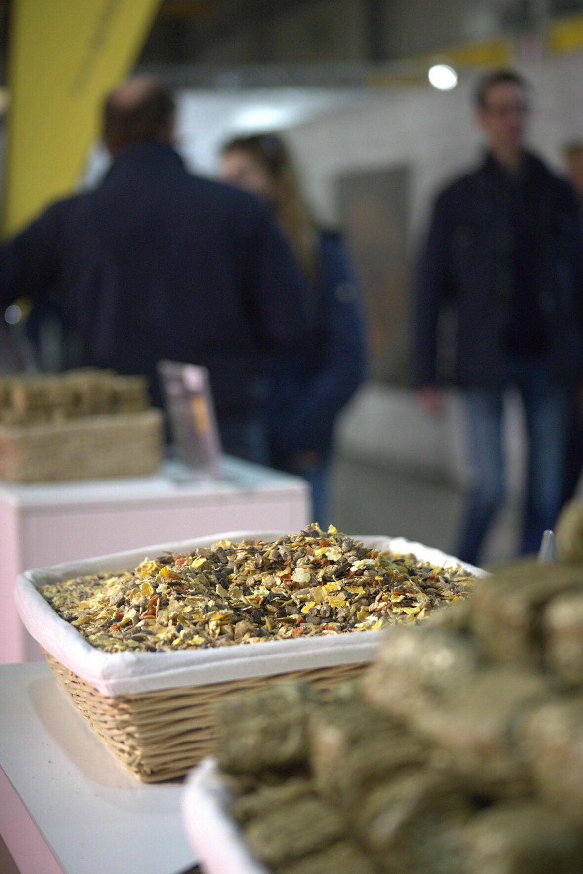 Alimentazione del puledro mangime 2 rotated