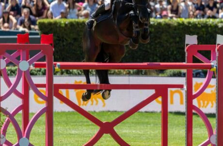 Ecco i convocati azzurri per la tappa delle Longines EEF Series a Scuderia La Caccia