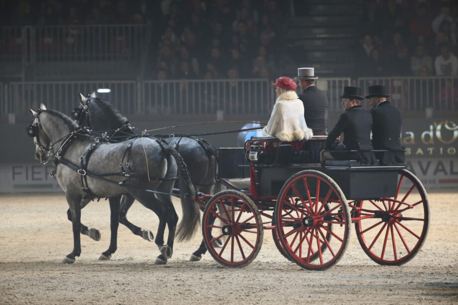 Le discipline equestri. 3 Gala Verona2016 SS7 25651