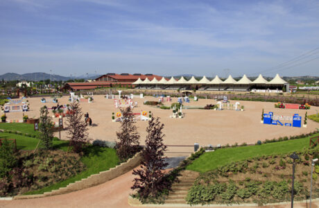 Horses riviera resort