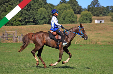 Toscana capitale dei Campionati Italiani 2026. Dopo il salto ostacoli, ora tocca endurance.