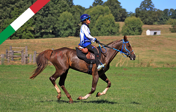 Toscana capitale dei Campionati Italiani 2026. Dopo il salto ostacoli, ora tocca endurance.