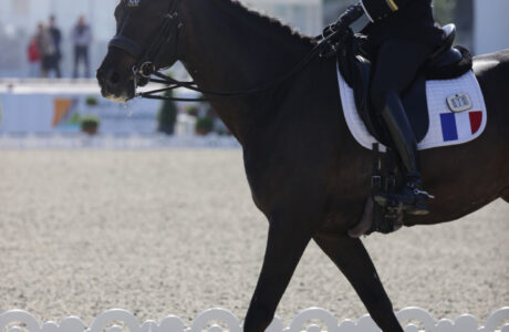 PRINTEMPS DES SPORTS ÉQUESTRES