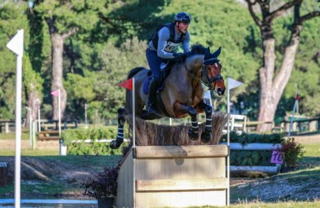 PROIA GATTO completo