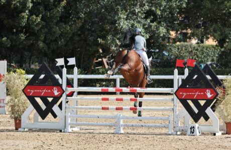 Piccoli giganti, il Valore nascosto dei Pony nel salto ostacoli.