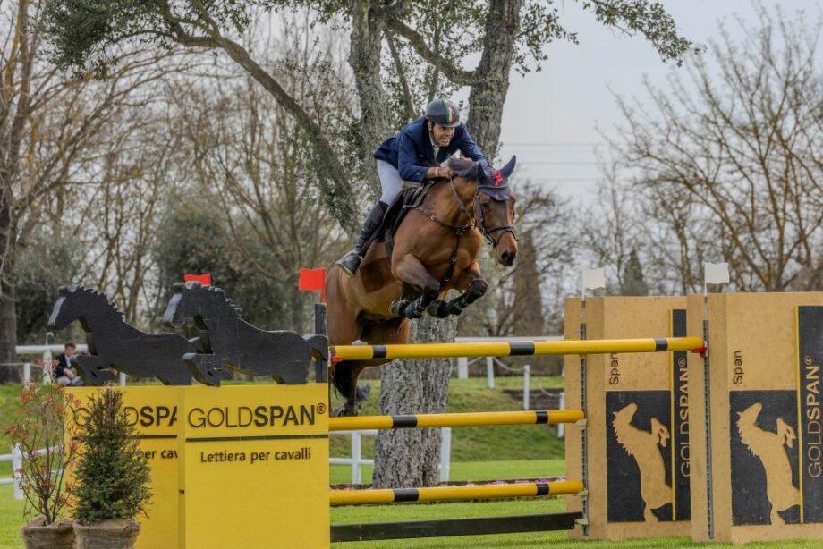 Turchetto Heidelberg T