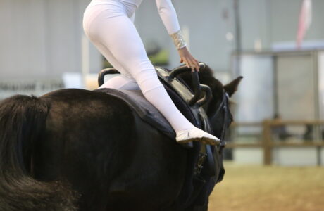 Tra arte, adrenalina e legame con il cavallo, tutte le discipline equestri.