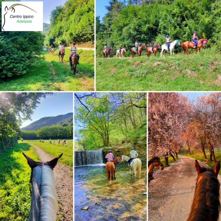 Dietro ogni cavallo ci sono famiglie che ci credono, Buona Pasqua dal Centro Ippico Adelasia. 3 WhatsApp Image 2026 03 25 at 14.55.57