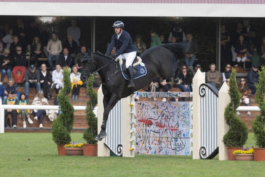 Whitaker Vermento Arezzo