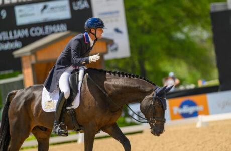 Will Coleman dressage (c) Dragoo Photography Photo