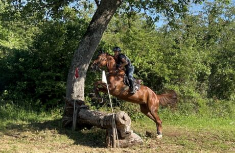 Tanca Regia Angela Lanzetta