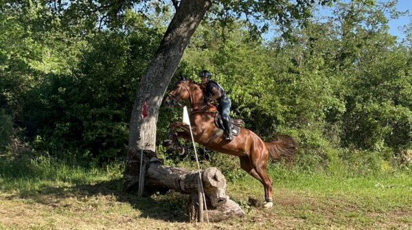 Tanca Regia Angela Lanzetta