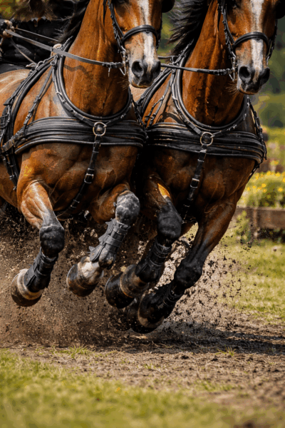 Driver italiani a Kronenberg: ritorni importanti ed esordi promettenti.