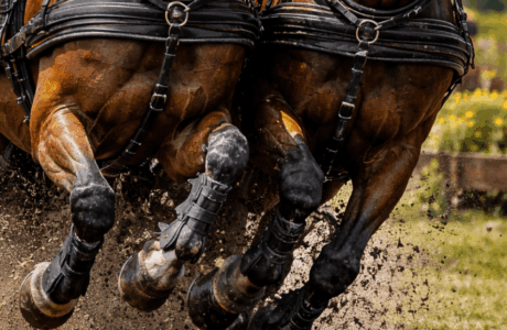 Driver italiani a Kronenberg: ritorni importanti ed esordi promettenti.