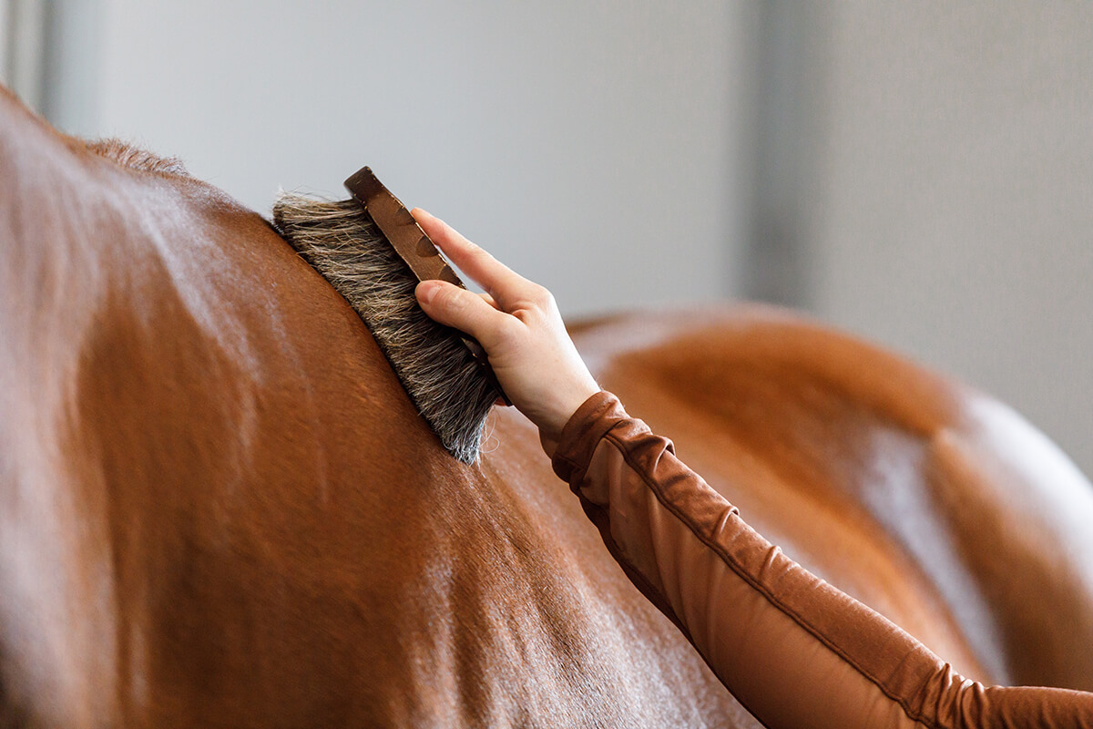Al via lo CSIO d’Italia Giovanile e Pony, giovani campioni a Busto Arsizio