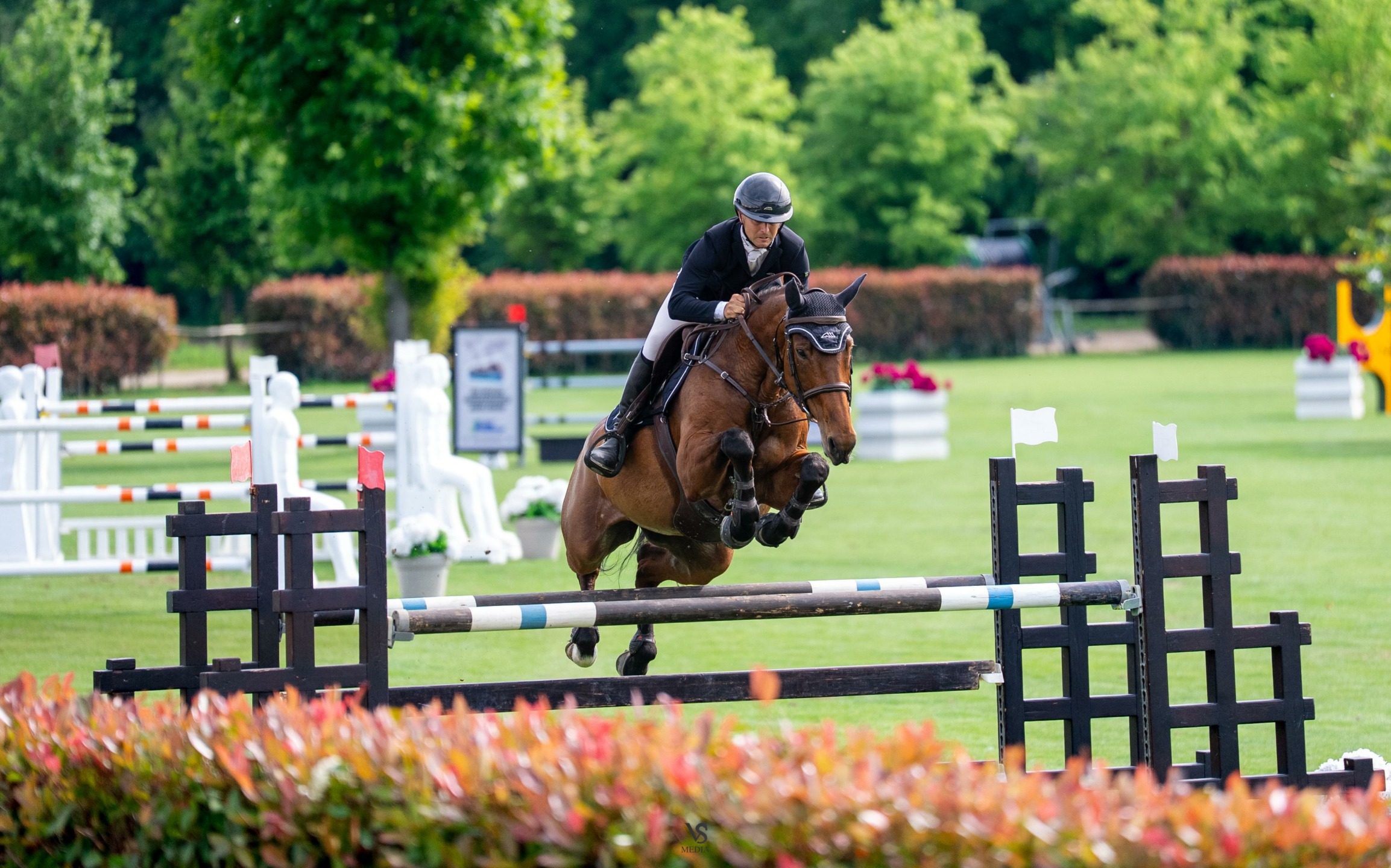 f6e51d5b 742a 42a2 92e3 913dc7cc5905