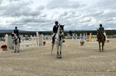 Salto ostacoli. a Tanca Regia 280 iscritti per la 2^ tappa del Trofeo Asvi Nella 1^ tappa in evidenza Piero Pala su Zweitschrift e Antonio Meloni su Vadir.