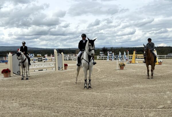 Salto ostacoli. a Tanca Regia 280 iscritti per la 2^ tappa del Trofeo Asvi Nella 1^ tappa in evidenza Piero Pala su Zweitschrift e Antonio Meloni su Vadir.