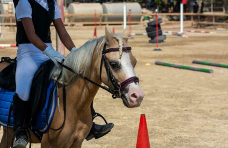 Pony Master Show Mascheroni, tra ludico e competizione, ecco la time table provvisoria della seconda settimana dei Mounted Games.