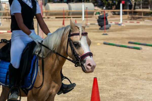 Pony Master Show Mascheroni, tra ludico e competizione, ecco la time table provvisoria della seconda settimana dei Mounted Games.
