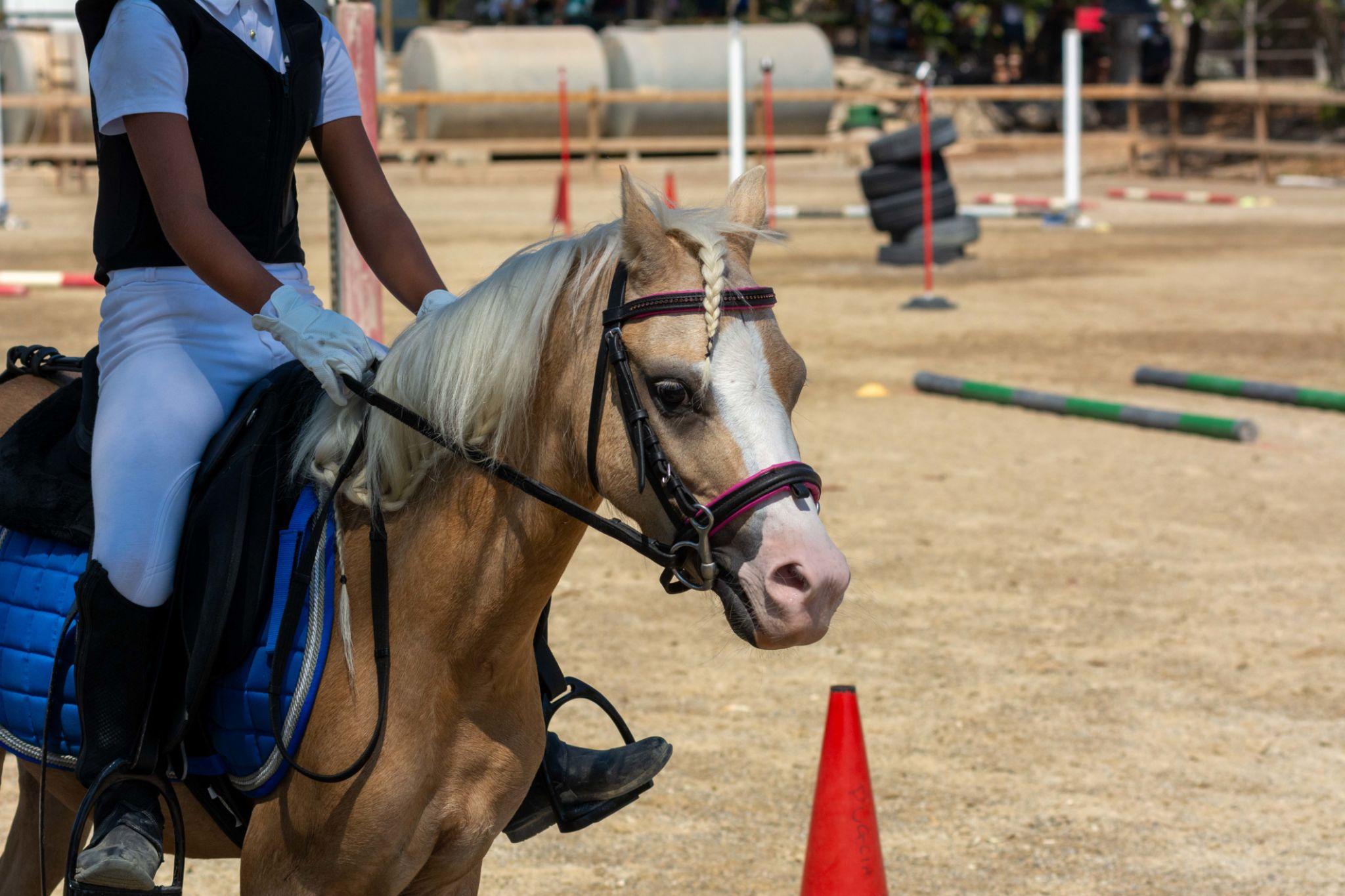 Pony Master Show Mascheroni, tra ludico e competizione, ecco la time table provvisoria della seconda settimana dei Mounted Games.