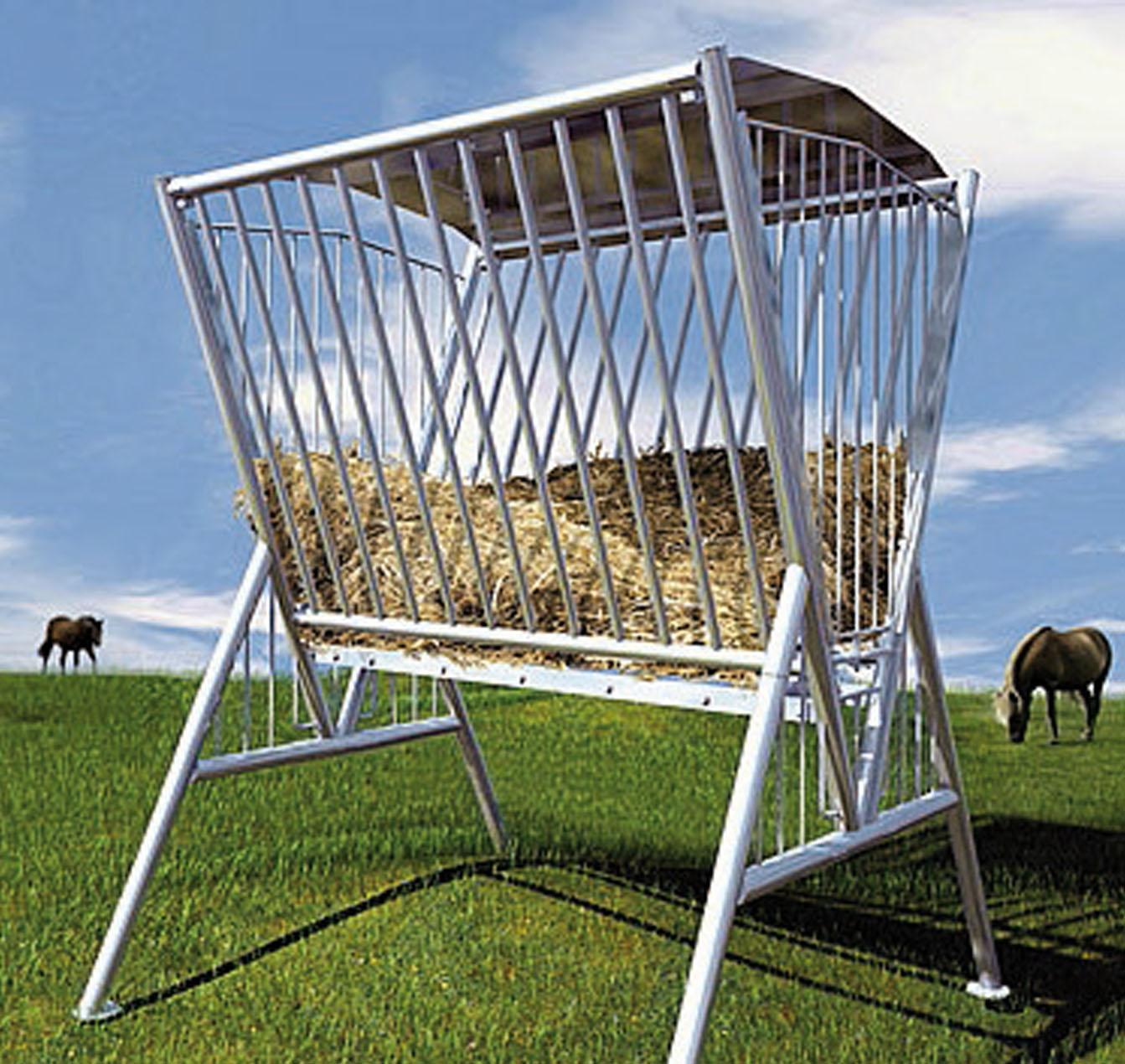 Gestione nutrizionale tra inverno ed estate per un cavallo in forma.