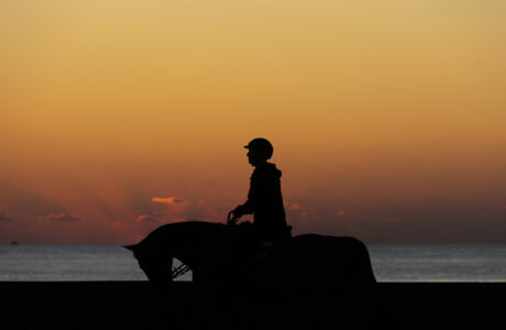 sunrise Miami 20240406 SS356128