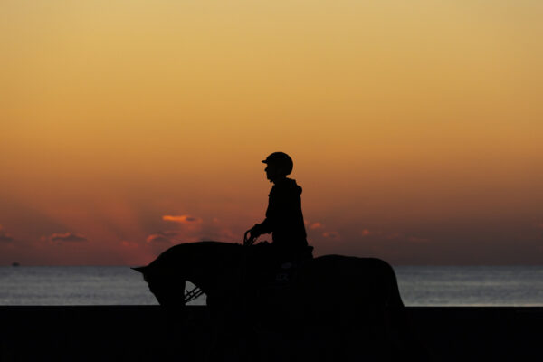 sunrise Miami 20240406 SS356128