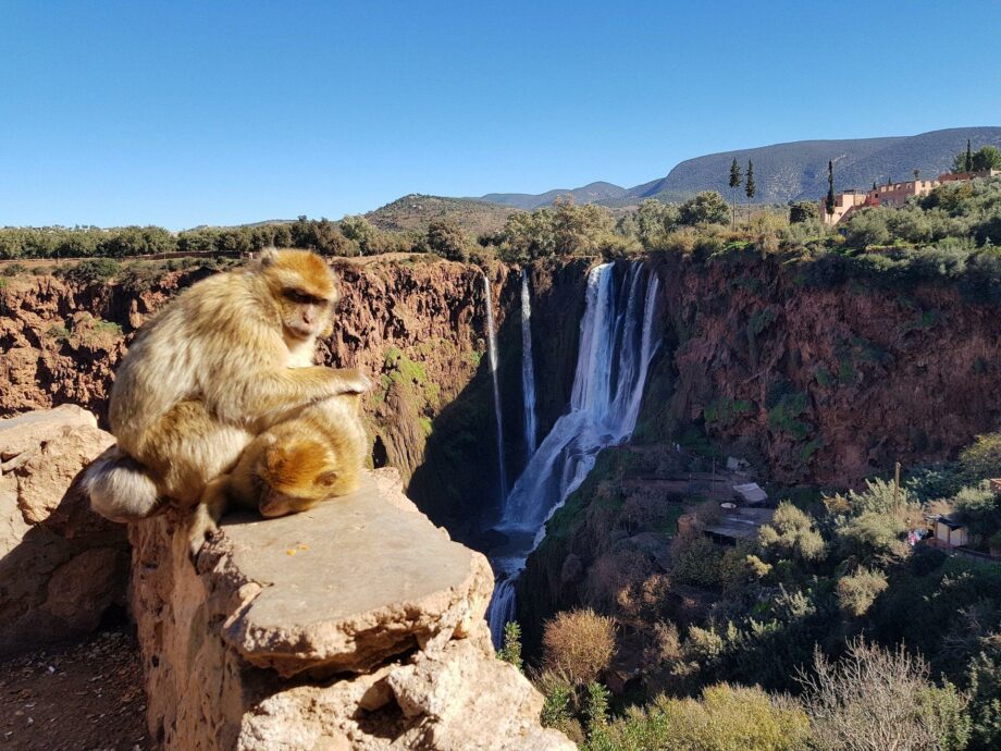 Trekking a cavallo nel Medio Atlante. 2 trekking 4 africa