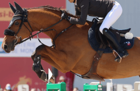 Il Countdown è partito per la 35ª edizione del Jumping International di Bourg-En -Bresse Ain.