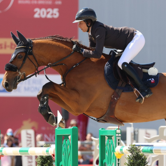 Il Countdown è partito per la 35ª edizione del Jumping International di Bourg-En -Bresse Ain.
